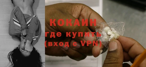 стаф Пересвет