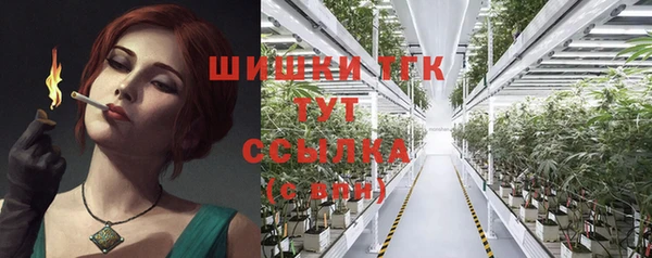 стаф Пересвет