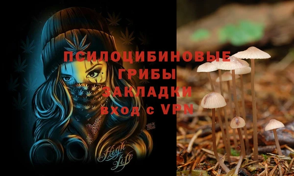 гидропоника Абдулино